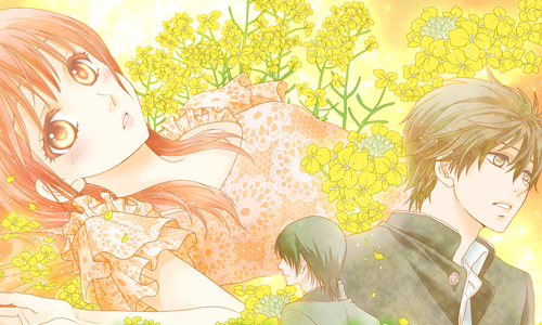 漫畫上架：難忘初戀、溫柔年下選哪個？日本網友大熱議的《菜乃花的他》 漫畫上架、菜乃花的他、菜の花の彼、桃森三好、漫畫