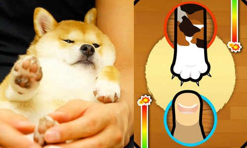 柴柴、貓手、兔耳，對手任你挑！超療癒《壓大拇指》遊戲 手機、App、遊戲、壓大拇指、動物