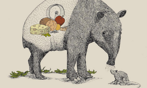 馬來貘的肚皮裡藏有老鼠天堂？想像力無極限的動物擬人畫作 shu_531、instagram、繪畫、動物、幻想