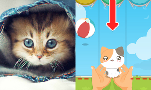 沒接住我就哭給你看喔！撒嬌系貓咪手遊《CATCH CATS》萌萌上市 貓咪、手遊、CATCH CATS 、Android、毛小孩