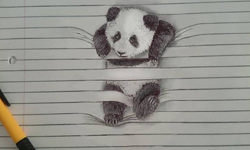 貓咪被筆記本的線纏住了？動物錯覺畫就要騙倒你的眼！ 繪畫、錯覺、藝術、錯覺、Iantha Naicker