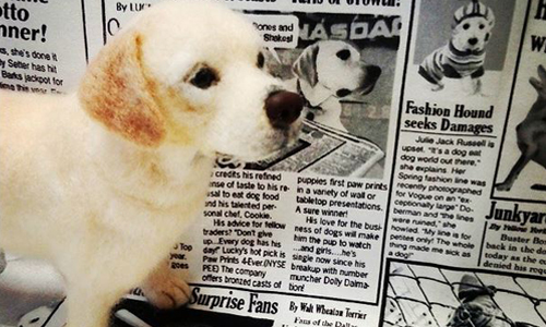 就不信你沒被騙！令人甘拜下風的超逼真狗狗羊毛氈 Little Angel、little_angel__dog、日本、羊毛氈、Instagram、SNS、手作、狗、逼真、擬真