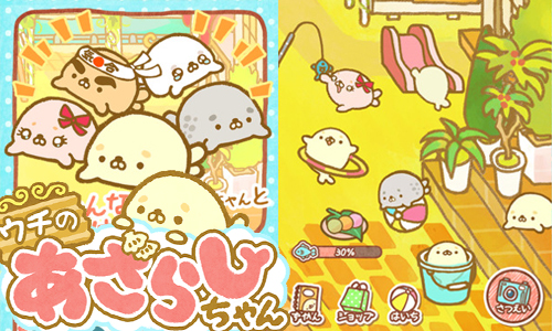 吸引更多海豹讓咖啡廳順利營運吧！超療癒手機遊戲《我的小海豹》 ウチのあざらしちゃん、我的小海豹、日本、手機遊戲、海豹