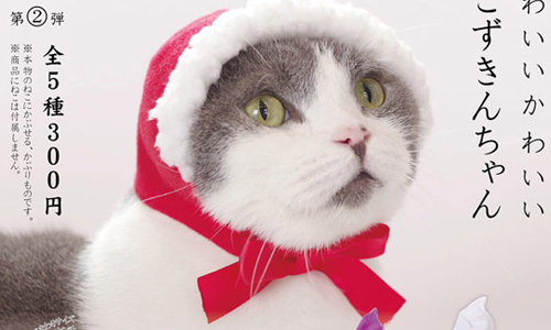 家中好像多了一隻「小紅帽」？萬聖節貓咪頭套扭蛋來啦！ 貓咪、萬聖節、頭套、萌、可愛