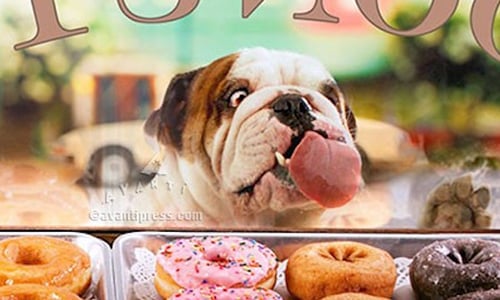 賞口飯吃好嗎？動物討食ing超犯規萌樣特輯 貓、貓咪、喵星人、動物、狗