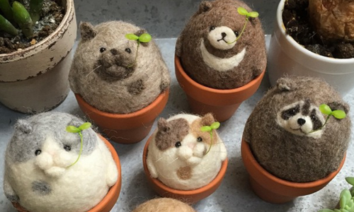 喵星人發芽了！？戳出屬於自己的動物造型盆栽吧 こだま あや、cotocotofeltworks、instagram、羊毛氈、日本