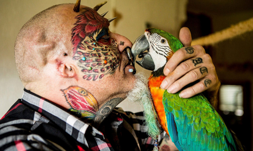 割下耳朵、眼球染色！英男愛鸚鵡成癡不惜肉體大改造 耳朵、眼球、染色、英男、鸚鵡、寵物、瘋狂