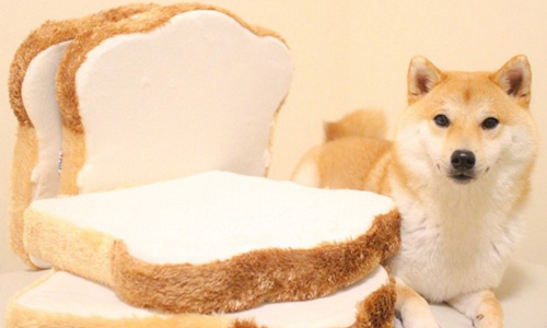 麵包拿來坐沒問題嗎？柴犬也瘋狂的「吐司坐墊」在這裡 吐司坐墊、日本、食パンクッション、吐司、麵包