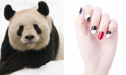 你不會希望這些是你家的毛小孩！這20款可愛的動物指甲彩繪究竟是... 動物、動物彩繪、瀕臨絕種、瀕危、野生動物、指甲、指彩、指甲油、指甲彩繪、美甲、彩繪、公益、WWF、Donail、Donation、ドネイル、世界自然基金會、毛小孩、寵物