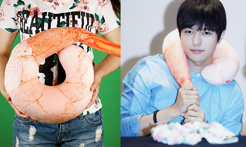 連L歐巴也在用的甜蝦頸枕！超夯海鮮類紓壓小物新登場 甜蝦頸枕、蝦子、蝦仁、頸枕、鮭魚靠墊