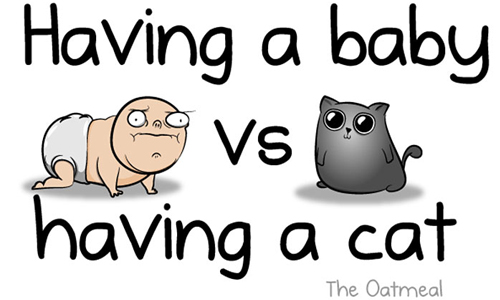 生你不如養隻貓！超現實養貓VS.養小孩過程讓你重新思考要不要生 寶寶、小孩、貓、貓咪、插畫