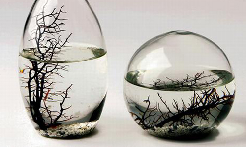 輔大居然可以學怎麼鑑定珠寶！這5堂超有趣通識課連眨眼都覺得奢侈！ 妞學院、飲料管理、生態管理、原住民、珠寶藝術