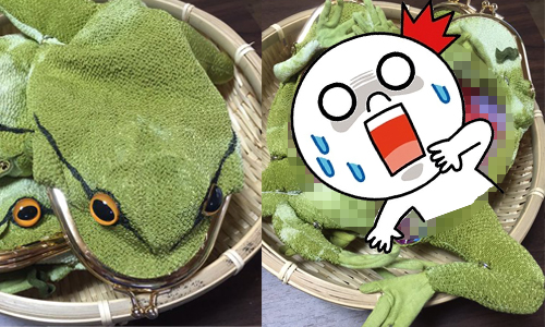 看得見內臟的青蛙手機套？！微獵奇生活小物大集合 schizkkha、Shingguapoura、青蛙手機套、貓咪水壺套、日本、Twitter、青蛙、貓咪、水壺套、手機套