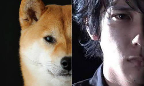 二宮和也和柴犬的相似度百分百？！兩大萌物PK你選哪一個 二宮和也、柴犬、相似度、twitter、SNS
