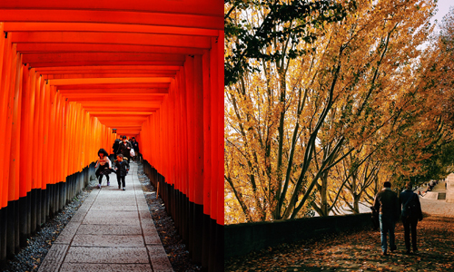 在異國找尋故鄉的投射風景！跟著台灣女孩的鏡頭發現美好吧 Olivia、台灣、攝影、新加坡、展覽、起點、世界、異國、藝術