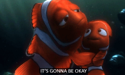 尼莫打從一開始就不存在？《海底總動員》4大黑暗理論 海底總動員、海底總動員2：尋找多莉、尼莫、多莉、Finding Nemo