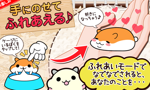 摸摸融化在手心上的倉鼠吧！觀察萌鼠一日生態App《倉鼠系列》 ハムスターコレクション、倉鼠收集、手機遊戲、養成遊戲、日本遊戲