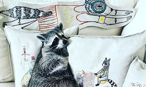 讓小浣熊陪你一同晚餐！一針一線繡出宛若歐洲森林的刺繡藝術  刺繡、針線、浣熊、森林、動物