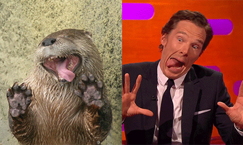 你們根本就是雙胞胎！17張照片證明BC是水獺無誤 BC、班尼狄克康柏拜區、 Benedict Cumberbatch、水獺、強尼戴普