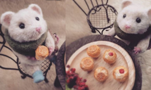 「好想吃美味的蛋糕呀～」萌萌小老鼠餵食劇場正式開演 hiroko730711、Instagram、羊毛氈、日本、手作、SNS、老鼠、萌鼠