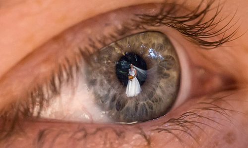 非主流倒映婚攝這樣玩！捕捉賓客眼裡的特殊風景攝影 眼睛、攝影、婚禮、結婚、戒指