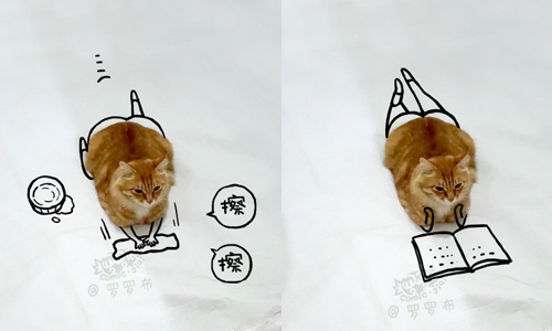 喵星人表示人家只想好好休息！惡搞貓咪的可愛插畫 加一、羅羅布、luoluobu、貓、表情