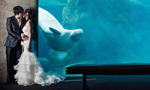 辦遊輪婚禮結果賓客全暈船！6種創意婚禮可能發生的悲劇 結婚、婚禮、創意、悲劇、喜事