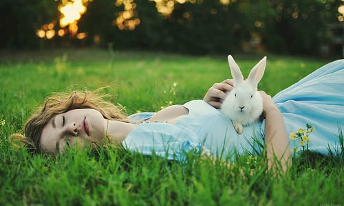 只在男友面前露出三八本性？害羞兔子系女孩的6個特徵 兔子系女孩、害羞、惹人憐愛、草食系、多愁善感