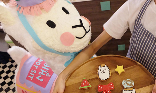 巨型羊駝駐店當超級吉祥物！被萌物包圍的療癒系咖啡廳 nahimcafe、ＮＡＨＩＭ นะฮิม、羊駝、草泥馬、泰國