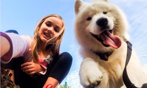 你是我最要好的汪星人好朋友！冬季最溫暖人心的小太陽Puck 、instagram、samoyedpuck、薩摩耶、Puck