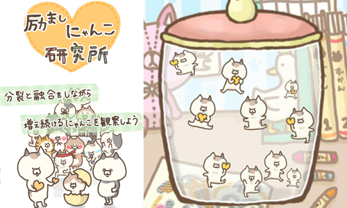 來看喵星人在瓶中跳舞吧！培育各種貓咪的療癒App《鼓勵貓研究所》 励ましにゃんこ研究所、励ましにゃんこ、日本、ぽち、pochi_line、twitter、