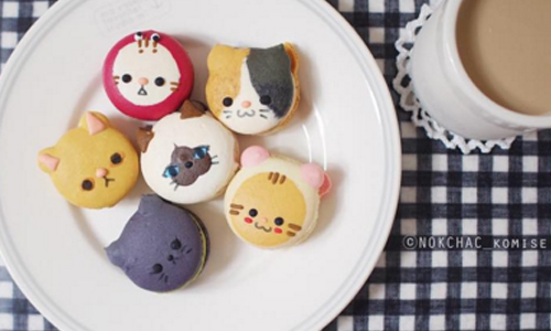 喵星人造型馬卡龍齊聚一堂！萌萌指數爆表的韓國咖啡館 마블제과、marvel_bakery、韓國、首爾、馬卡龍