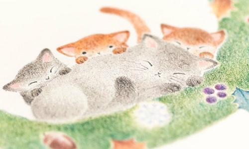 森林系超暖心繪本插畫 讓你彷彿置身小動物的童話世界 森林、繪本、日本、動物、插圖