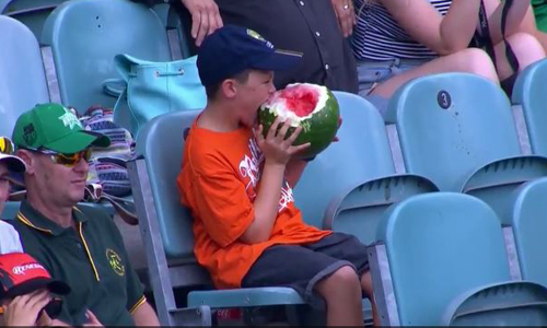 看球連皮帶籽嗑完整顆西瓜！「西瓜男孩」在全世界爆紅 西瓜、男孩、澳洲、球賽、西瓜皮