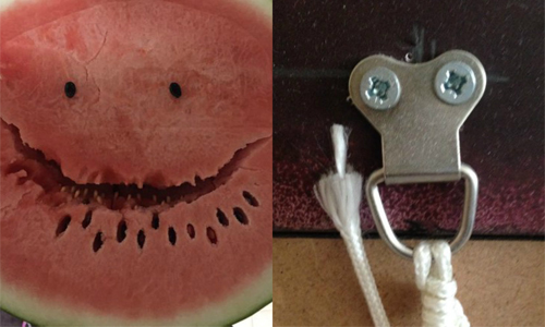 西瓜它有話要說！隱藏在生活中的爆笑表情特輯 臉、物品、表情、有趣、哀怨