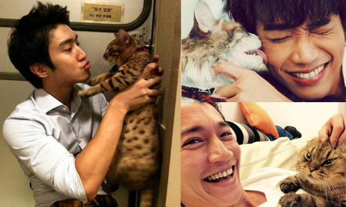 總是第一個察覺你的心事！養貓男讓人入坑的6個理由 貓咪、貓、小公主、忠誠、承諾