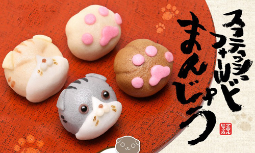 不只想吃還想要捏捏它！無辜大眼與肉球結合的貓咪饅頭 あわ家惣兵衛、蘇格蘭摺耳貓、貓咪饅頭、點心、日式、日本美食、日本點心、甜點、和菓子