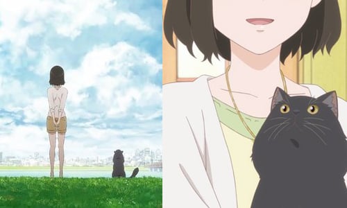 妳的一切他都看在眼裡 新海誠《她與她的貓》電視動畫重製登場 她與她的貓、新海誠、動畫、日本