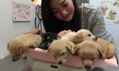 妞快報：邵庭含淚請求：「湊到八千個五百元吧！」背後的理由竟然超催淚 妞快報、邵庭、含淚、理由、催淚