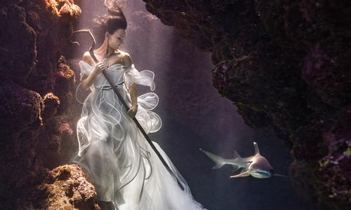 大膽女模與活生生鯊魚共游海底！驚世攝影的背後秘密是…… Benjamin Von Wong、Amber Bourke、鯊魚、攝影、藝術