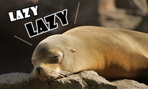 [友站新聞]絕對不是找藉口！但懶惰的人反而擁有更有效率的能力呦… 懶惰、優點、效率、習性、利用時間