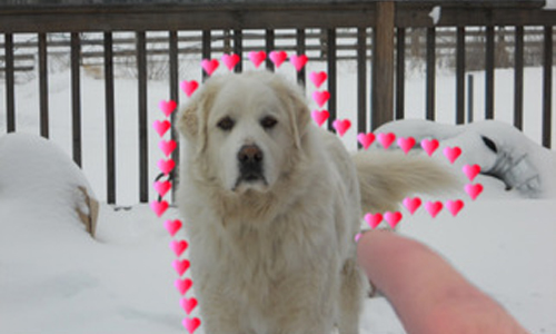 01/29限時免費App特輯：清新簡約節奏遊戲，挑戰你的反應力！ 限免、免費、特價、iPhone、App