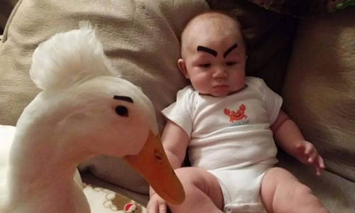 一起包尿布長大的小夥伴！男孩跟他的鴨鴨超促咪成長日常 可愛、小男孩、小鴨、相處、日常