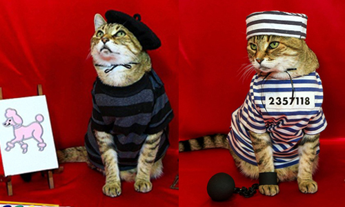 難道你也有出演《監獄學園》？！地表最強coser—喵星人Boo Boo 喵星人、可愛、萌、貓咪、貓、Cosplay、Boo Boo