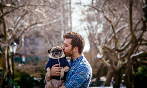 狗狗不只是好友、也是情人！超有愛的人狗放閃攝影集 Jonathan Graziano、Noodle、jongraz、showmenoodz、instagram