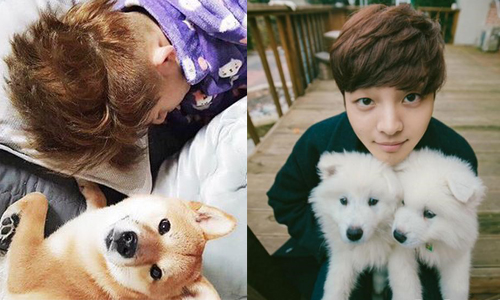 其實重點是要看偶像的睡醒顏　療癒首選韓綜《瑪麗與我》 瑪麗與我、寵物、療癒、BI、Ikon