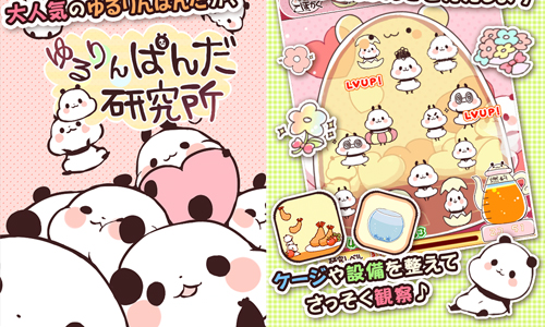 超人氣熊貓貼圖遊戲化！療癒手機App《悠閒熊貓研究所》 Yururin Panda、ゆるりんぱんだ研究所、悠閒熊貓研究所、日本、熊貓