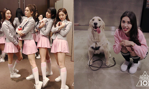 大叔的天堂、101名少女的修羅場　出道實境秀《Produce 101》 Produce 101、張根碩、出道、Mnet、美女