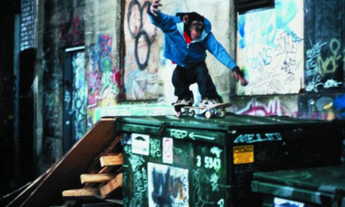 哈狗社到底有多哈？南應那些超酷社團你入社了沒？ 妞學院、大學、社團、星象、滑板社、極限滑板