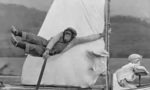 酷酷的來嘍～ 細數海大人的濕背秀社團 妞學院、社團、衝浪、浮潛、獨木舟、課輔